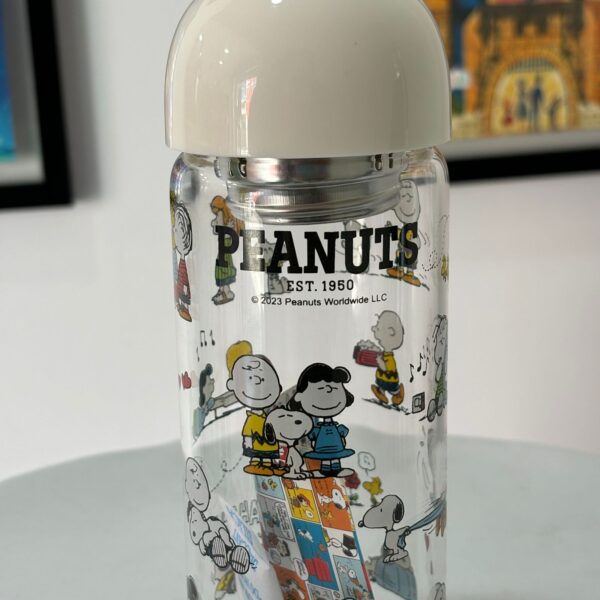 botilitos peanuts