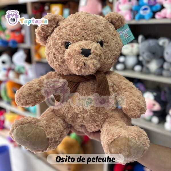 el oso teddy