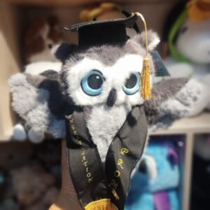 peluches para regalar en grado